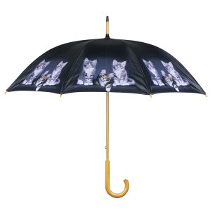 parapluie chatons maine coon 105cm*