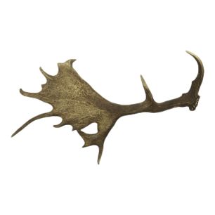 corne de daim (EU only)