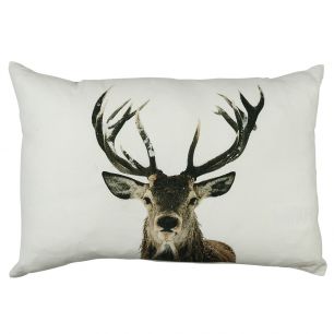 toile coussin cerf élaphe neiger 40x60cm