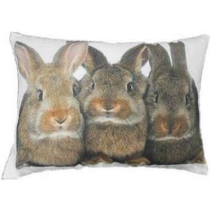 toile coussin 3 lapins bruns 35x50cm