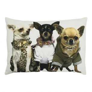 toile coussin chihuahuas 35x50cm