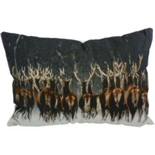 toile coussin cerf courant 35x50cm