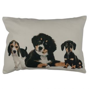 canvas cushion mix puppies 35x50cm*