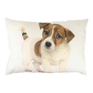 canvas kussen pup jack russel 35x50cm