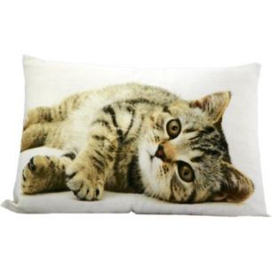 canvas kussen tabby liggend 35x50cm