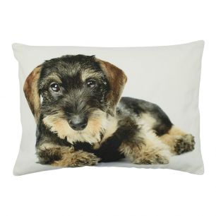 canvas cushion dachshund shaggy laying 35x50cm