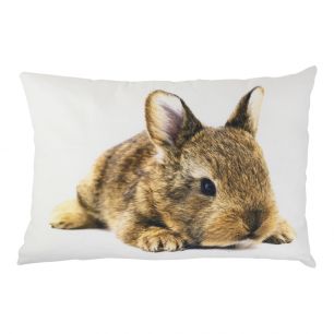 canvas cushion wild color rabbit 35x50cm