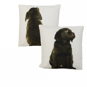 canvas cushion labrador brown double-sided 33x33cm