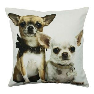 canvas cushion 2 chihuahuas 50x50cm*