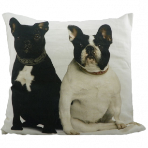 canvas cushion french bulldogs 50x50cm*