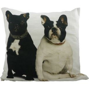 canvas kussen franse bulldogs 50x50cm*