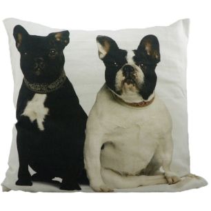 toile coussin bouledogues français 50x50cm*