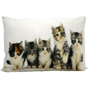 canvas cushion kittens 35x50cm