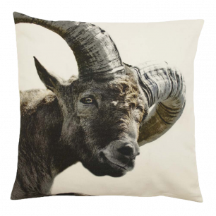 canvas cushion capricorn 50x50cm*