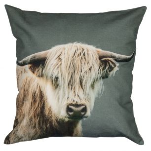 canvas cushion scottisch highlander blonde 50x50cm