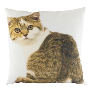 *canvas kussen tabby wit 50x50cm*