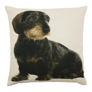 canvas cushion dachshund sitting 50x50cm