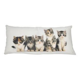 toile coussin xxl chatons 40x90cm*