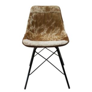 chair cow brown white x 79cm (self assembly) (bos taurus taurus)