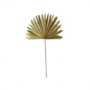 *palmblatt ast getrocknet 103cm*