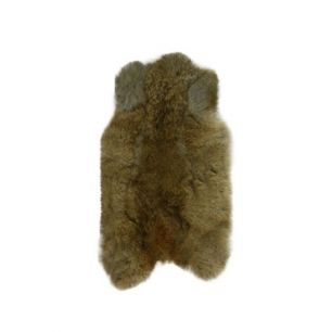 fur rabbit brown 40cm (oryctolagus cuniculus)