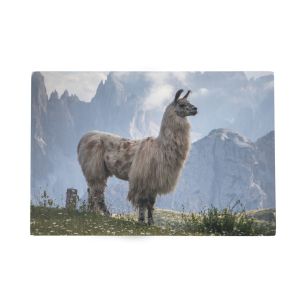 Deurmat Alpaca bergen 75x50cm