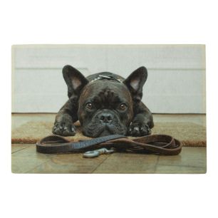 paillasson humour bouledogue français 75x50cm