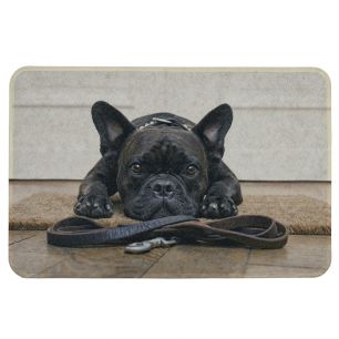 paillasson humour bouledogue français 75x50cm