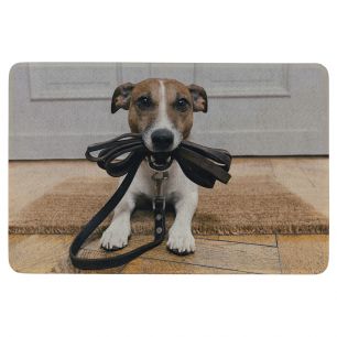paillasson jack russell humour 75x50cm