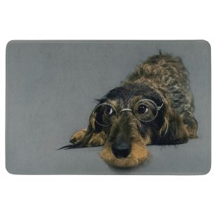 paillasson teckel à poil dur humour lunettes 75x50cm
