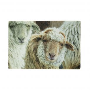 paillasson mouton beige 75x50cm
