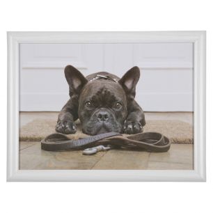 knietablett humor französische bulldogge 43cm