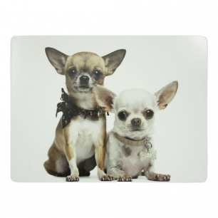 placemat chihuahuas 30x40cm (4)*