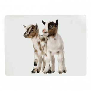 *placemat dwerggeit 30x40cm (4)*