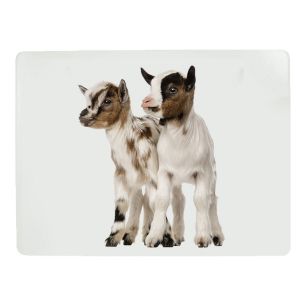 *placemet dwarf goat 30x40cm (4)*