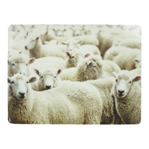 placemat sheep 30x40cm (4)