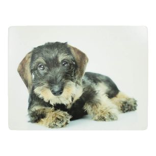 placemat dachshund 30x40cm (4)