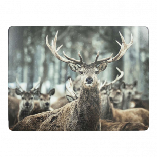 placemat winter deer 30x40cm (4)