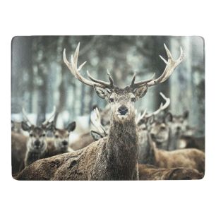 placemat winter deer 30x40cm (4)